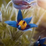 Los sonidos naturales forman la base de la vida en el universo