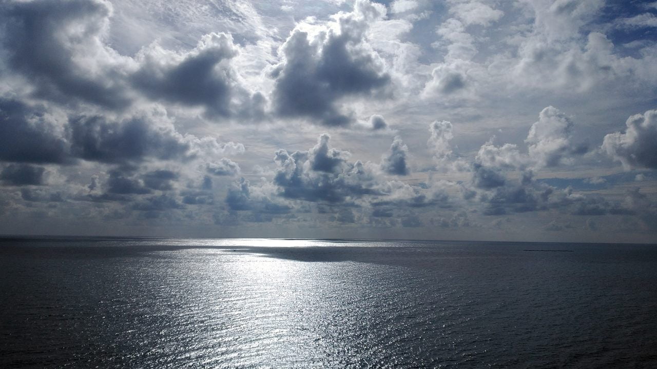 Escuchar Sonidos De La Naturaleza Para Relajarse Los Sonidos Relajantes de la Naturaleza | Audios para tu Bienestar