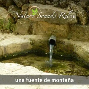 Nature Sounds Relax - Episodio 05 Una fuente de montaña