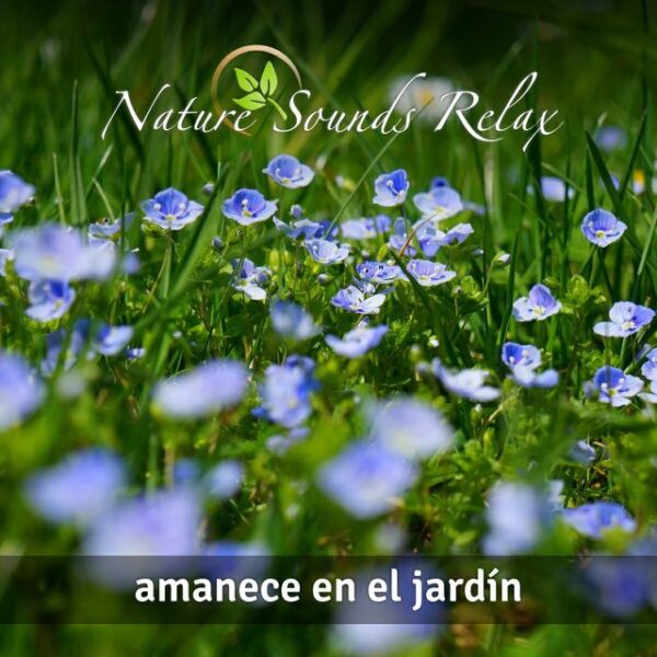 Nature Sounds Relax - Episodio 07 Amanece en el jardín