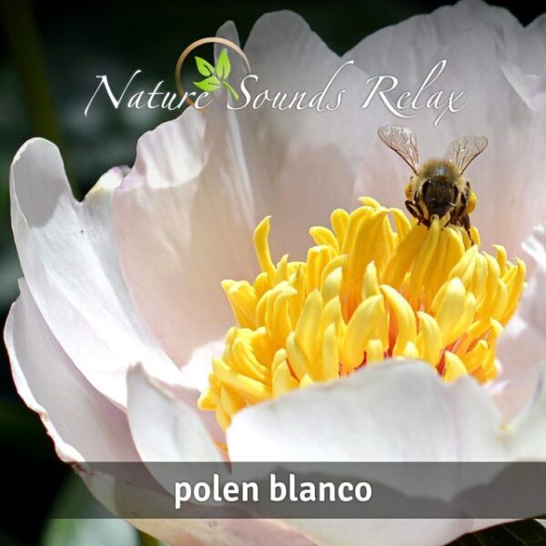 Nature Sounds Relax - Episodio 11 Polen blanco