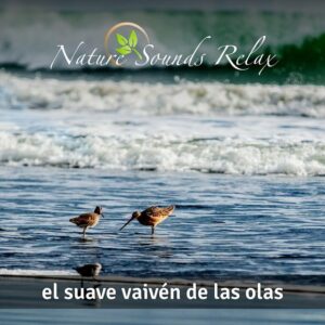 Nature Sounds Relax - Episodio 14 El suave vaivén de las olas