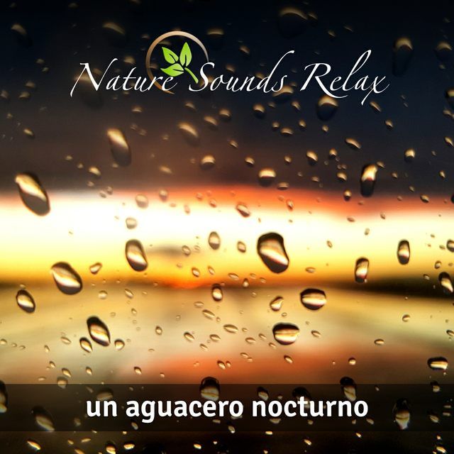 Nature Sounds Relax - Episodio 17 Un aguacero nocturno