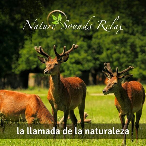 Nature Sounds Relax - Episodio 21 La llamada de la naturaleza