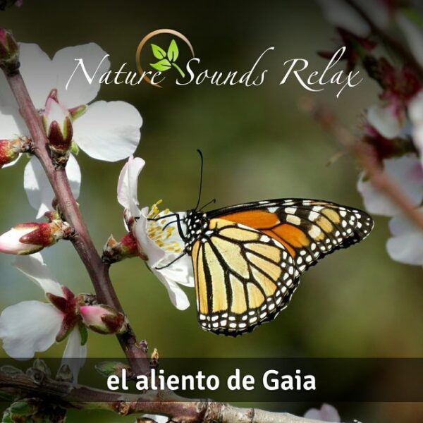 Nature Sounds Relax - Episodio 23 El aliento de Gaia