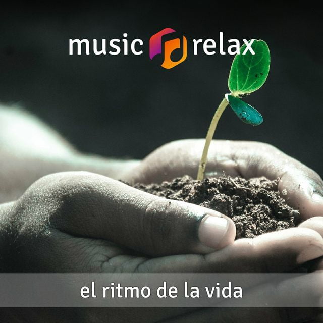 Music Relax MR041 – El Ritmo de la Vida