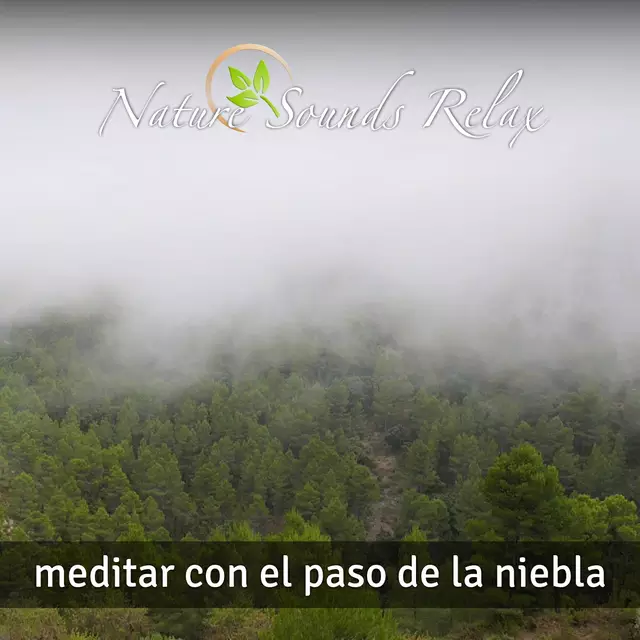 Nature Sounds Relax - 31 meditar co el paso de la niebla